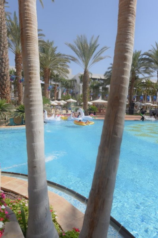 EILAT_2016_0857.JPG