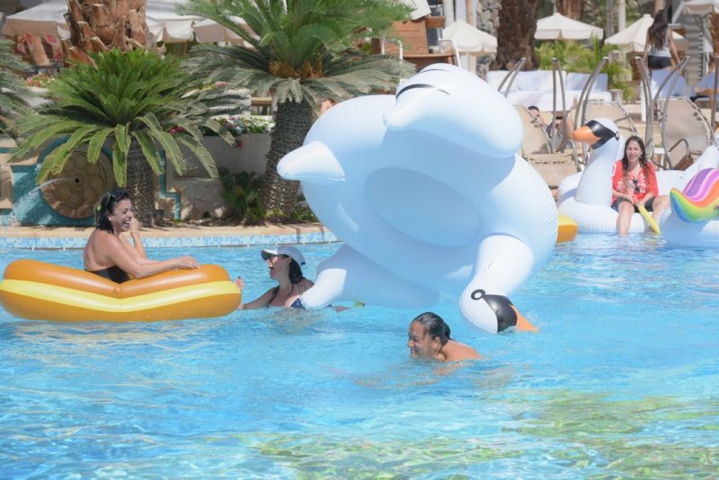 EILAT_2016_0861.JPG