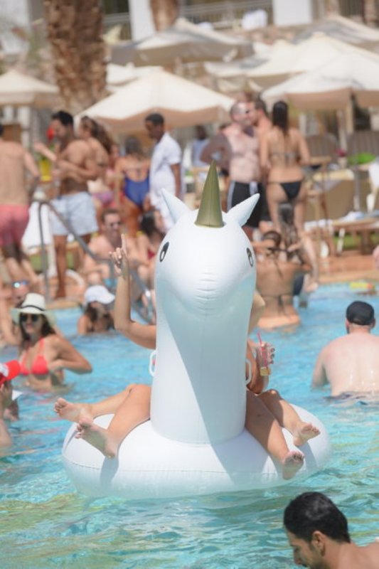 EILAT_2016_1033.JPG
