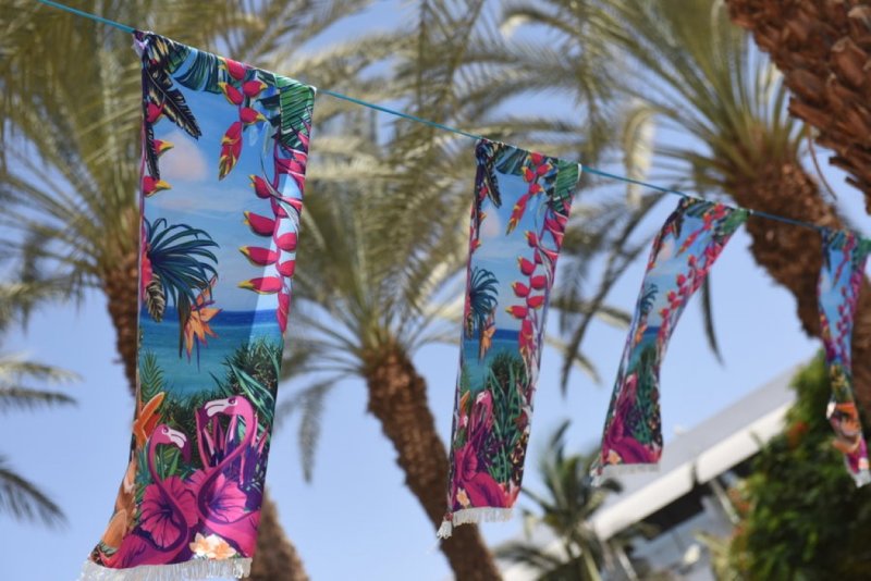 EILAT_2016_1167.JPG