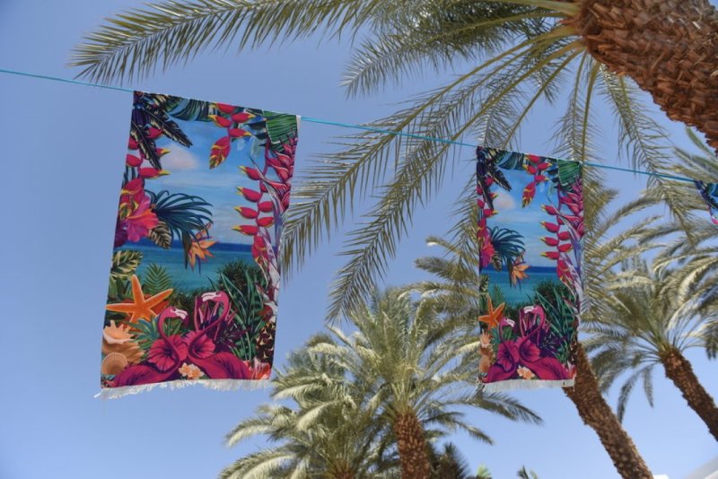 EILAT_2016_1168.JPG