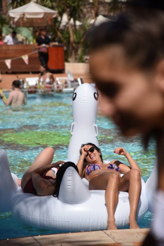 EILAT_2016_1194.JPG
