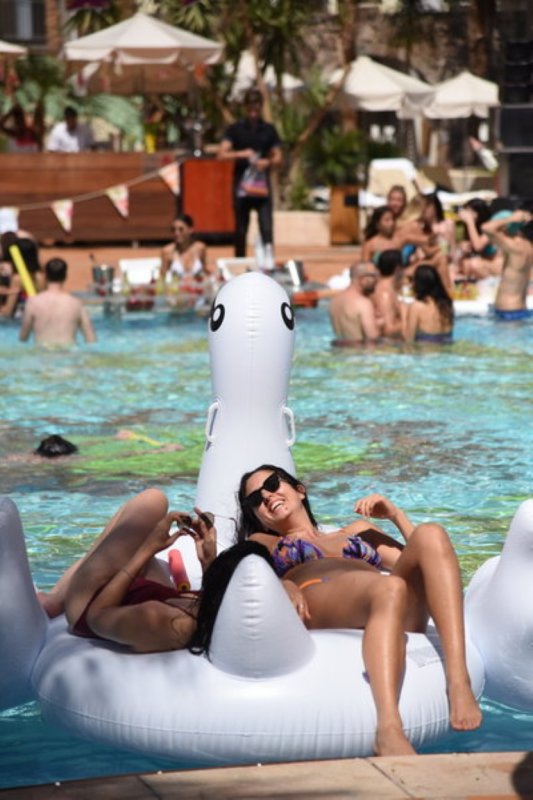 EILAT_2016_1195.JPG
