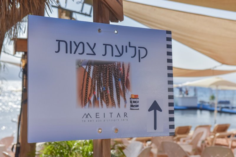 177.jpg