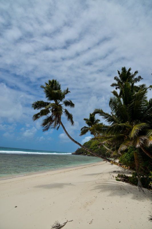 seychelles-773.jpg