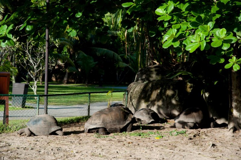 seychelles-937.jpg