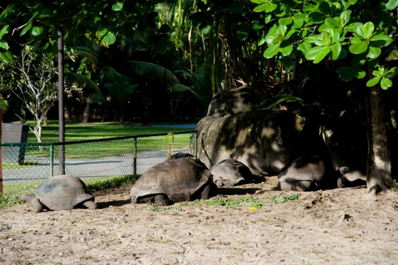 seychelles-938.jpg