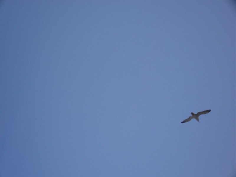 SDC13760.JPG