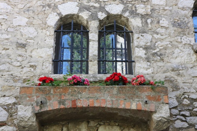 IMG_6955.JPG