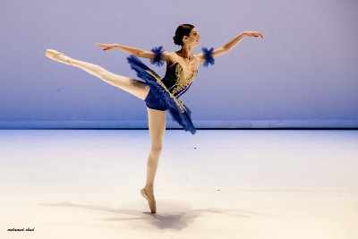 DSC_3089.jpg