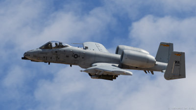 Red Flag 2019__522_openWith.jpg