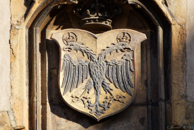 Colmar 2020_009_openWith.jpg