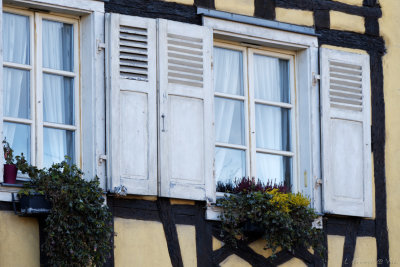 Colmar 2020_035_openWith.jpg