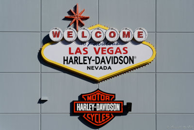 Harley Davidson_011_openWith.jpg