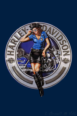 Harley Davidson_018_openWith.jpg