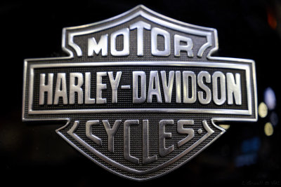 Harley Davidson_027_openWith.jpg