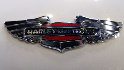 Harley Davidson_029_openWith.jpg