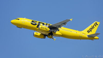 LAX 2019_190_openWith.jpg