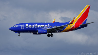 LAX 2019_246_openWith.jpg