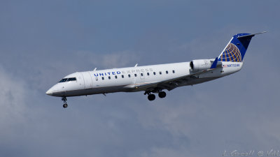 LAX 2019_247_openWith.jpg