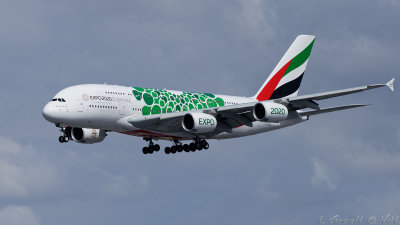 LAX 2019_283_openWith.jpg