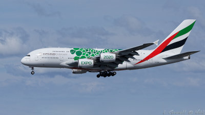 LAX 2019_291_openWith.jpg