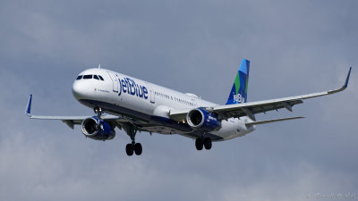 LAX 2019_335_openWith.jpg