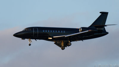 LAX 2019_553_openWith.jpg