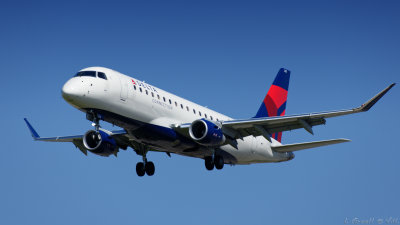 LAX 2019_780_openWith.jpg