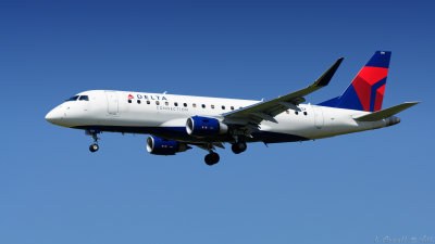 LAX 2019_781_openWith.jpg