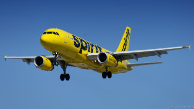 LAX 2019_786_openWith.jpg