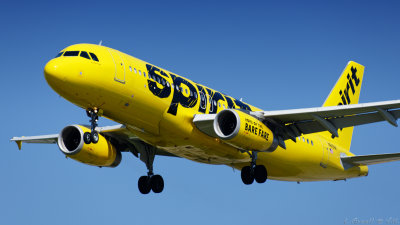 LAX 2019_787_openWith.jpg