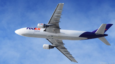 LAX 2019_D500_562_openWith.jpg