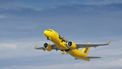 LAX 2019_D500__084_openWith.jpg