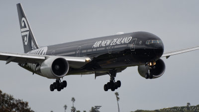 LAX 2019_D500__130_openWith.jpg