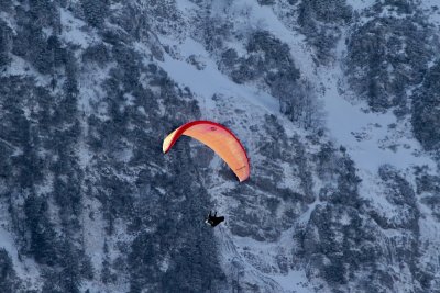 Gleitschirmflieger / paraglider