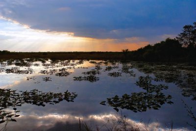 Loxahatchee Sunset