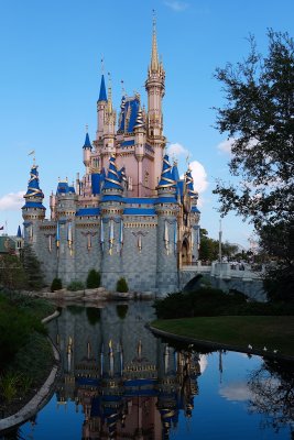 50th Anniversary Cinderella's Castle