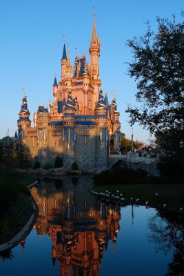 Cinderella's Castle and reflection