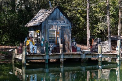 Bayou scene on the Rivers of America