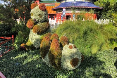 China Flower & Garden display