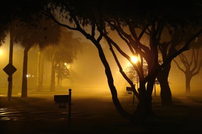 Fog Down the Street