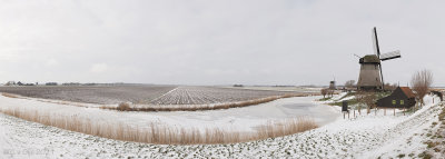 SCHERMERHORN, Noord-Holland