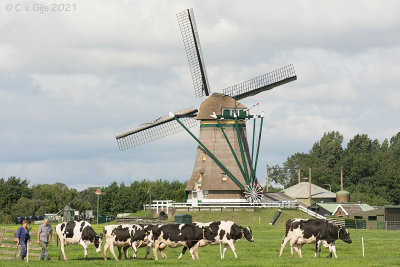 Putmolen