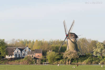 Molen De Vrijheid