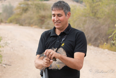 Noam is showing us the African Crake before it's released in the park.