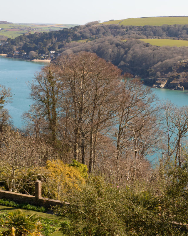 Week 14 - Salcombe Harbour from Overbecks.jpg