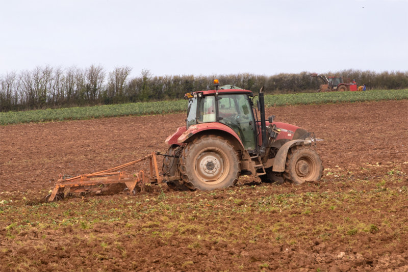 Week - 15 Harrowing at Mill Farm South Milton.jpg