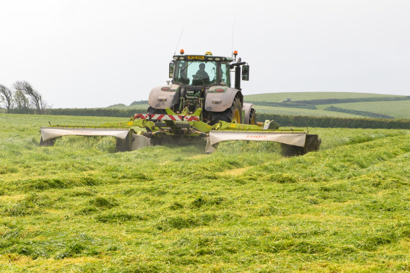 Week 17 - Cutting grass near South Milton #2.jpg