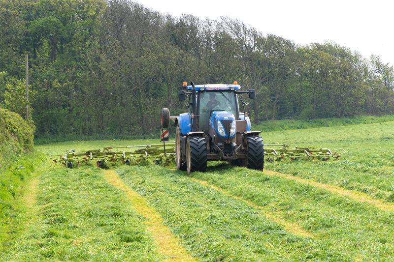 Week 17 - Turning grass near South Milton.jpg